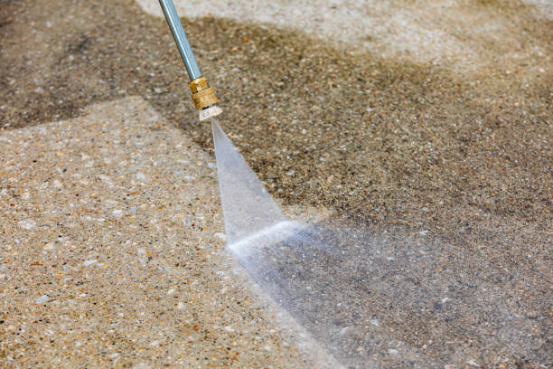 Best Sidewalk and Walkway Cleaning  in Whitehall, MI
