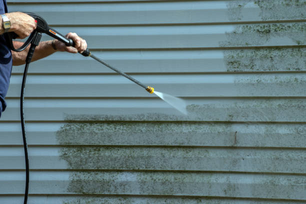Best Dumpster Area Cleaning  in Whitehall, MI